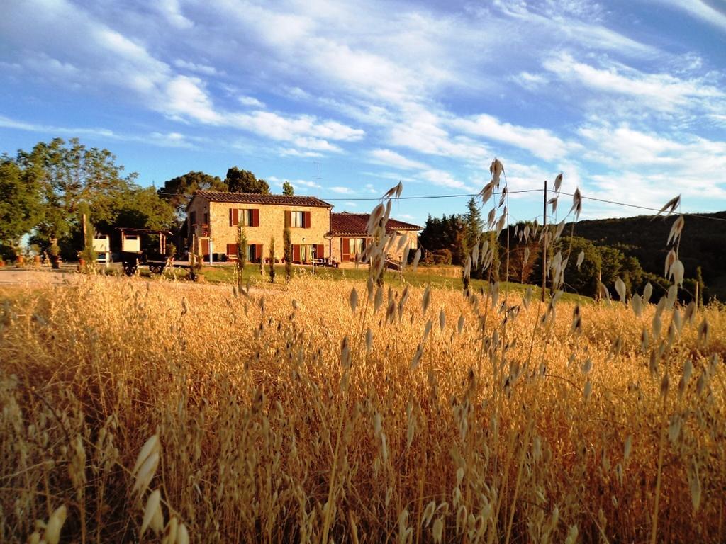 San Fedele Alloggi Siena Exterior foto